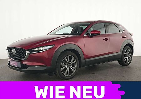 Mazda CX-30 M Selection Navi|HeadUp|CarPlay|LED|ACC