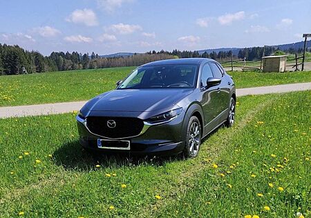 Mazda CX-30 SKYACTIV-X 2.0 M-Hybrid AWD Aut. SELECTION