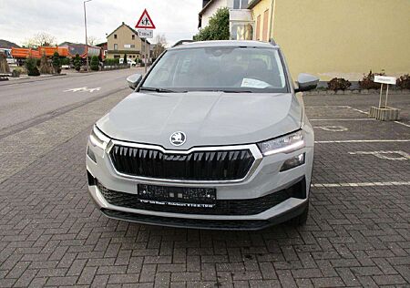 Skoda Karoq Selection