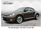 VW Beetle Volkswagen *LEDER*TÜV & SERVICE NEU*