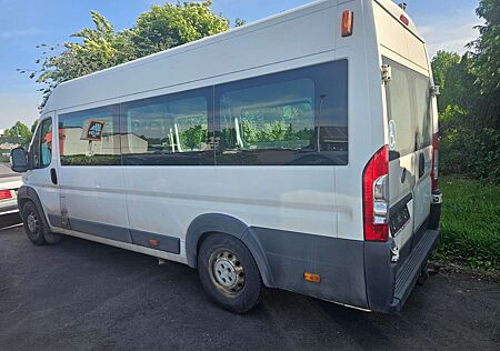 Fiat Ducato 130 verglast Behindertentransport