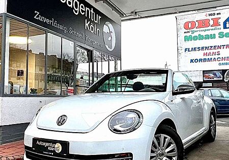 VW Beetle Volkswagen Cabriolet Allstar BMT