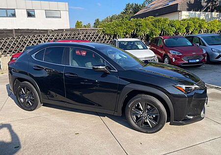 Lexus UX 250h 2,0 Automatik /Navi/Klima/Alcantara/LED