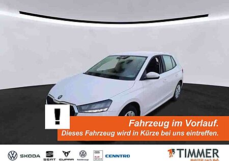 Skoda Fabia 1.0 TSI ACTIVE *LED *TEMPO *SHZ *DAB *