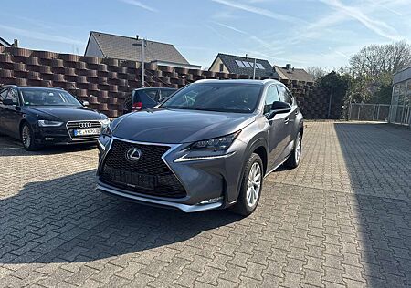 Lexus NX 300h 300 h E-Four*F-SPORT*VOLL*LEDER*NAVI*SCHIEDACH*