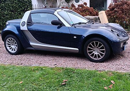 Smart Roadster affection