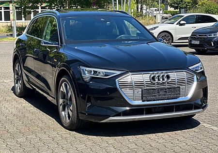 Audi e-tron 55 quattro 360 B&O SITZBEL LUFTFED PANO