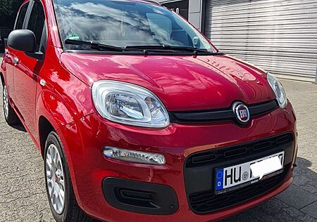 Fiat Panda 1.2 /Klima/Tüv neu/4-Zylinder-Motor