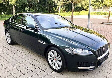Jaguar XF 3.0d Prestige Mega Ausstattung - TÜV NEU !!
