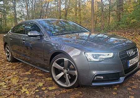 Audi A5 2.0 TDI Sportback (clean diesel) DPF