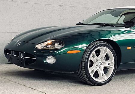 Jaguar XK XK8 Cabrio sehr Gepflegt 2. Hand