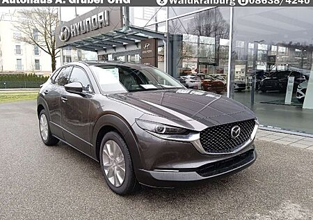Mazda CX-30 2.5L e-SKYACTIV G Center Line + Deisgn Paket