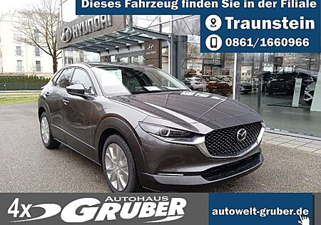 Mazda CX-30 2.5L e-SKYACTIV G Center Line + Deisgn Paket