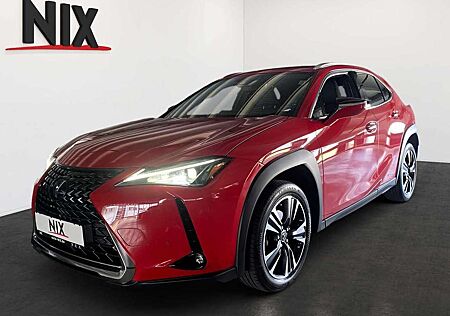 Lexus UX 250h UX 250 h 2.0 Hybrid Style Edition KAMERA