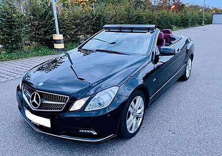 Mercedes-Benz E 350 Cabriolet CDI BlueEFF. AMG-Optik*Vollausst..