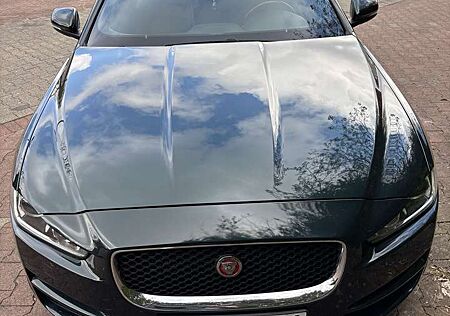 Jaguar XE Pure