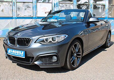 BMW 220 d Cabrio Aut. M-Paket Leder Bi-Xenon SHZ EU6