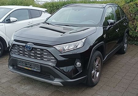Toyota RAV 4 4x4 * Team D * AHK * Technik-Paket * Panoramadach