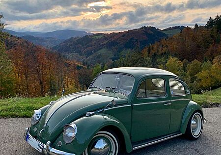 VW Käfer Volkswagen