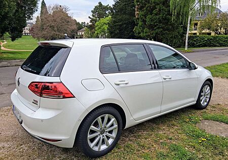 VW Golf Volkswagen 7 1.4 TSI BlueMotion DSG Highline PERLMUTT / LEDER