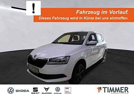 Skoda Fabia 1.0 TSI DSG *AHK *TEMPO *SHZ *PDC *KLIMA *DAB *AP