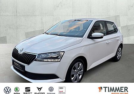 Skoda Fabia 1.0 TSI DSG *AHK *TEMPO *SHZ *PDC *KLIMA *DAB *AP
