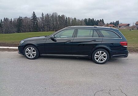 Mercedes-Benz E 220 E CDI T-Modell* BlueEff*top Ausst*