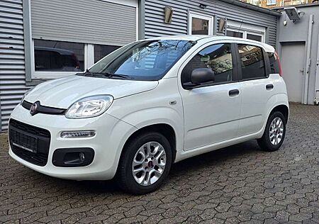 Fiat Panda More 1.2 , Klima,PDC,Alu,UConnect