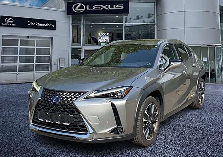 Lexus UX 250h Luxury Line ACC FLA HUD 360 ParkAss. LM