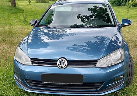 VW Golf Variant Volkswagen Golf VII Variant Diesel 1.6 TDI 4Motion BlueMotion