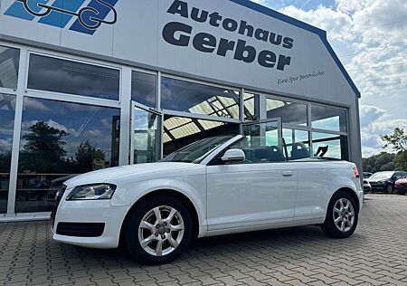 Audi A3 Cabriolet 1.6 Attraction SHZ PDC