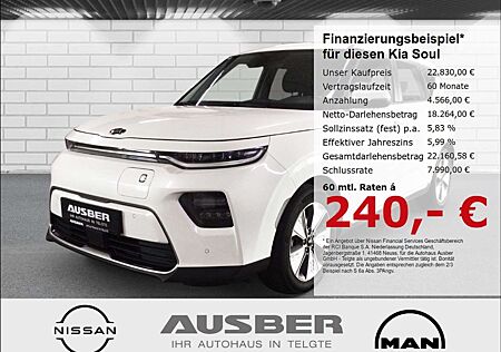 Kia Soul e- Vision NaviSoundsystem HarmanKardon LED ACC App