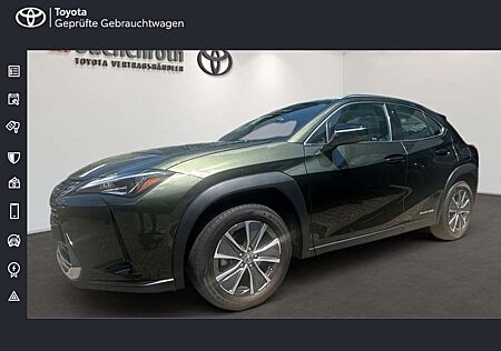 Lexus UX 300h UX 300e Executive Pak+Komfort Paket Plus+Winter