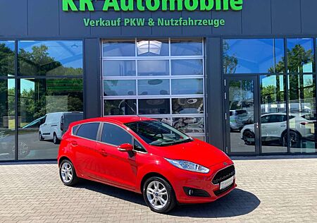 Ford Fiesta Celebration - heizbare WSS / Allwetter