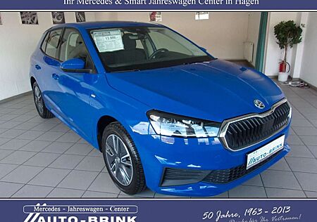 Skoda Fabia Tour mit Alu/PTS/LED/SmartLink/21tkm