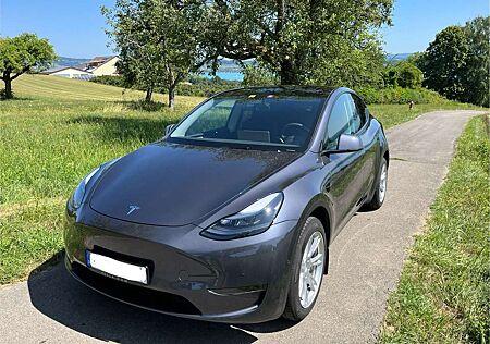 Tesla Model Y Long Range Dual Motor AWD + AHK