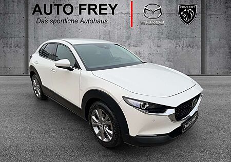 Mazda CX-30 150PS Selection AT 360°+LEDER+PRE-P+DES-P+BOSE