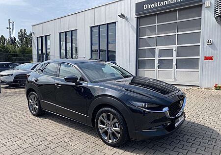 Mazda CX-30 SKYACTIV-X AWD Leder Bose Schiebedach voll