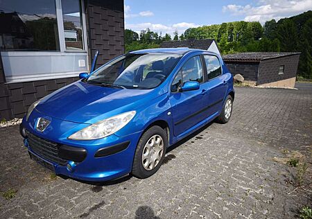 Peugeot 307 Grand Filou Cool