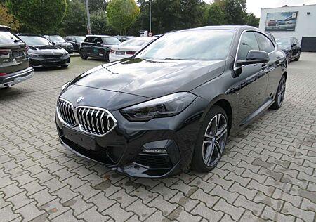 BMW 220 i M Sport Park-Assistent