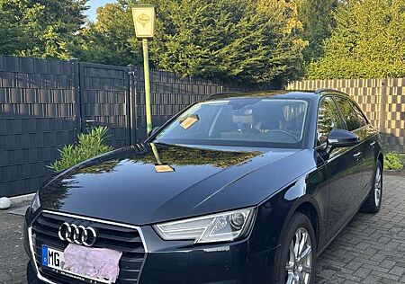 Audi A4 Avant 2.0 TDI ultra