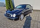 Mercedes-Benz CLK 230 Cabrio Kompressor Elegance AMG Felgen