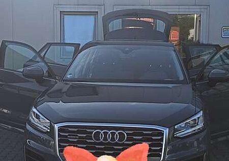 Audi Q2 40 TFSI quattro S tronic sport