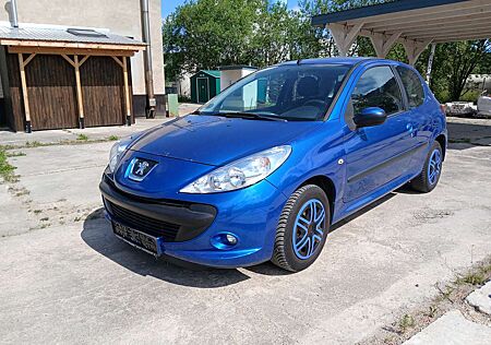 Peugeot 206 + 60