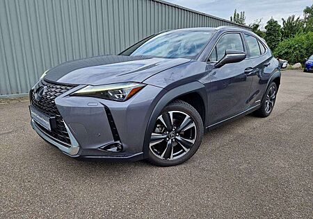 Lexus UX 250h Luxury Line ESD/WKR/HUD
