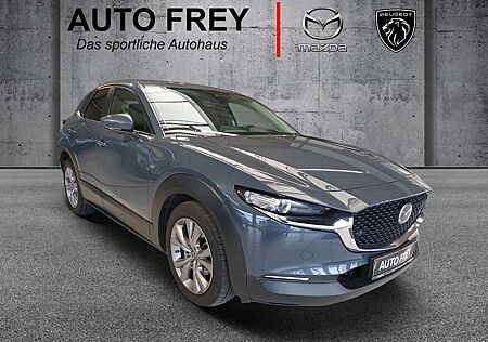 Mazda CX-30 2.0-X 179PS Selection+LEDER+ANHÄNGEVORRICHTUNG+NAV