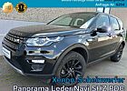 Land Rover Discovery Sport ED4 E-Capability SE Panorama Xenon Leder Navi SHZ