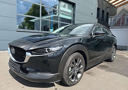 Mazda CX-30 Selection Des-P Pre-P 186 Metallic