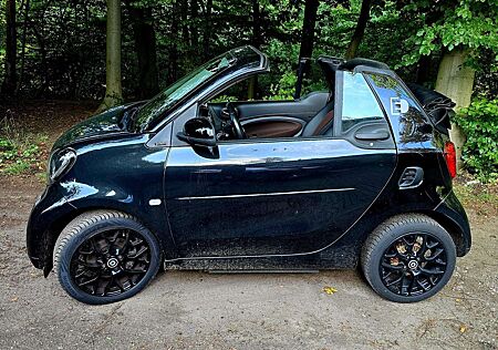 Smart ForTwo cabrio electro winterpaket