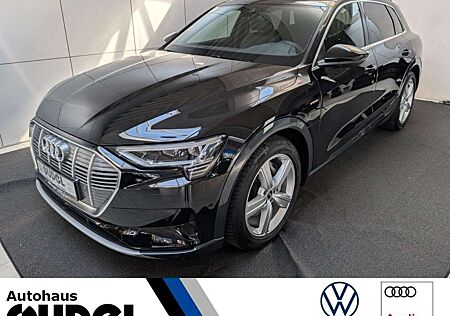 Audi e-tron 55 quattro advanced 95kW/h 20" Virt.Cockp